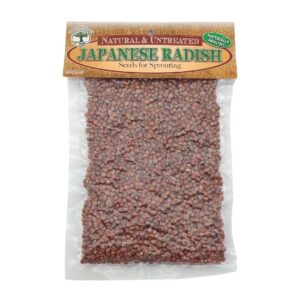 Umuthi Botanicals - Japanese Radish Sprouting Seeds 100g