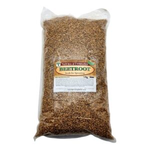 Umuthi Botanicals - Beetroot Sprouting Seeds 50g
