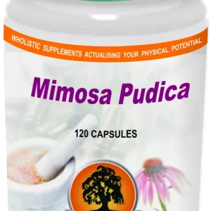 Willow - Mimosa Pudica 500mg 120 Capsules