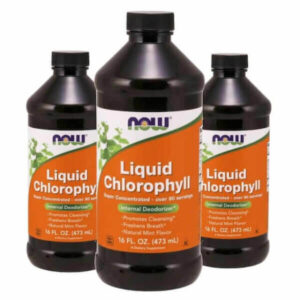 DSI - Liquid Chlorophyll 473ml