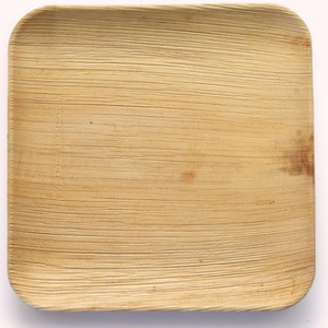 Earthware - 25cm Square Dinner Plate