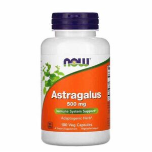 DSI - Astragalus 500mg 100 Vegicaps