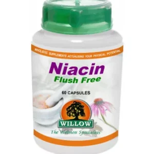 Willow - Niacin Flush Free 60 Capsules