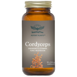 Cordyceps 90 Caps