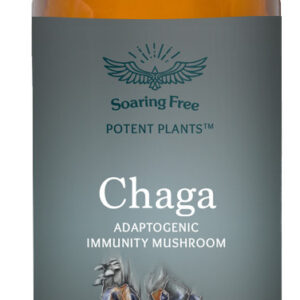 Superfoods - Chaga Mushroom 500mg 90 Capsules