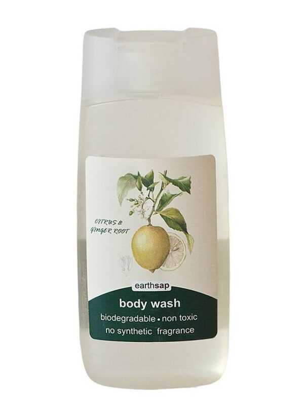 Body Wash - Citrus & Ginger 400ml