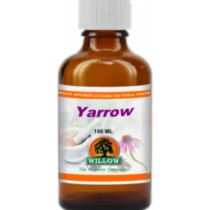 Willow - Yarrow 100ml