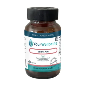 YW - Methly Plus 60 Caps