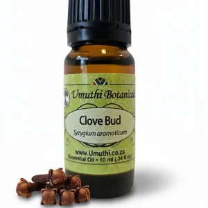 Clove Bud (Essential Oil) 10ml