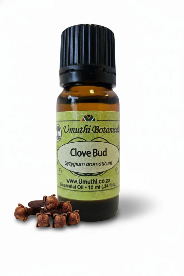 Clove Bud (Essential Oil) 10ml