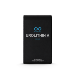 Charava - Urolithin A 500mg 30's